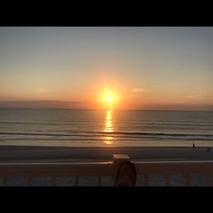 Meet your Posher, Alice